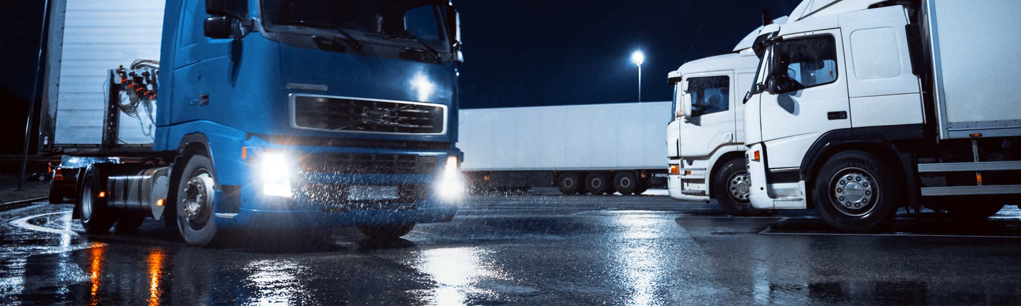 Cold Chain Logistics (Member only)